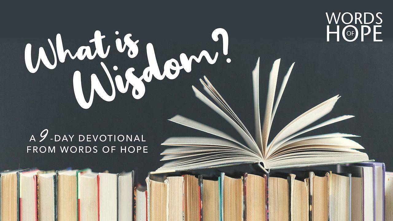 What Is Wisdom?
