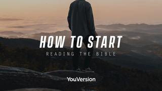 How to Start Reading the Bible