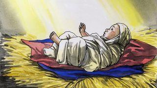 The Christmas Story
