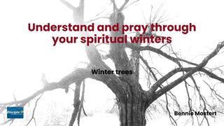 Understand and Pray Through Your Spiritual Winter
