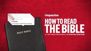 How to Read the Bible