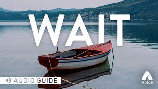 Wait Psalms 40:1 New International Version