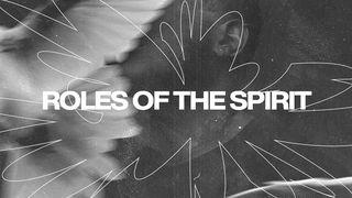 The Roles of the Holy Spirit: A Study for Teens
