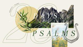 28 Days in the Psalms