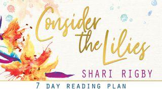 Consider The Lilies