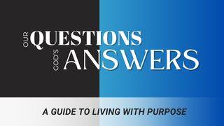 Our Questions: God's Answers
