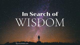 In Search of Wisdom