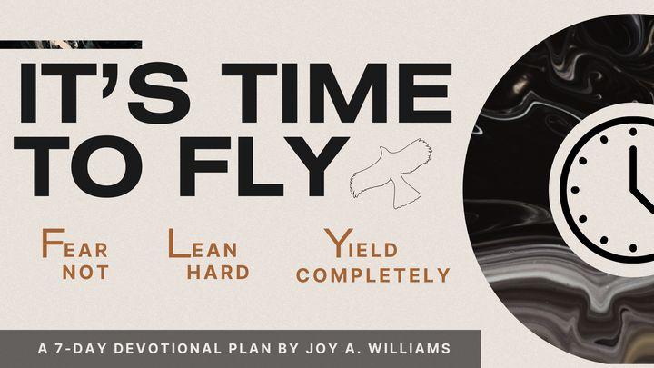IT’S TIME to FLY  a 7-Day Devotion by Joy A. Williams