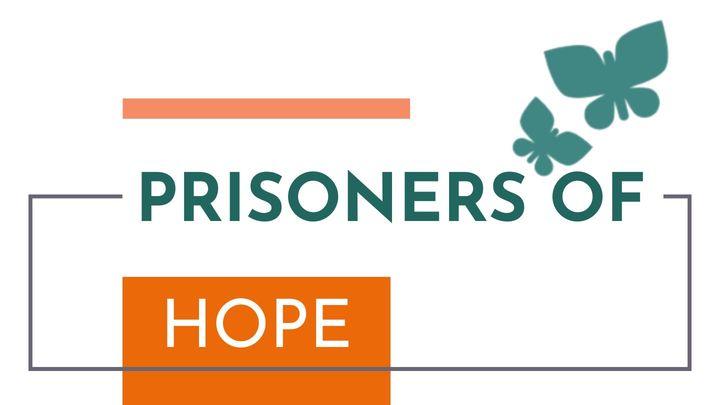 Prisoners of Hope