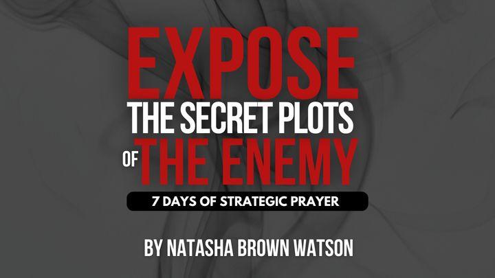 Expose the Secret Plots of the Enemy: 7 Days of Strategic Prayer 