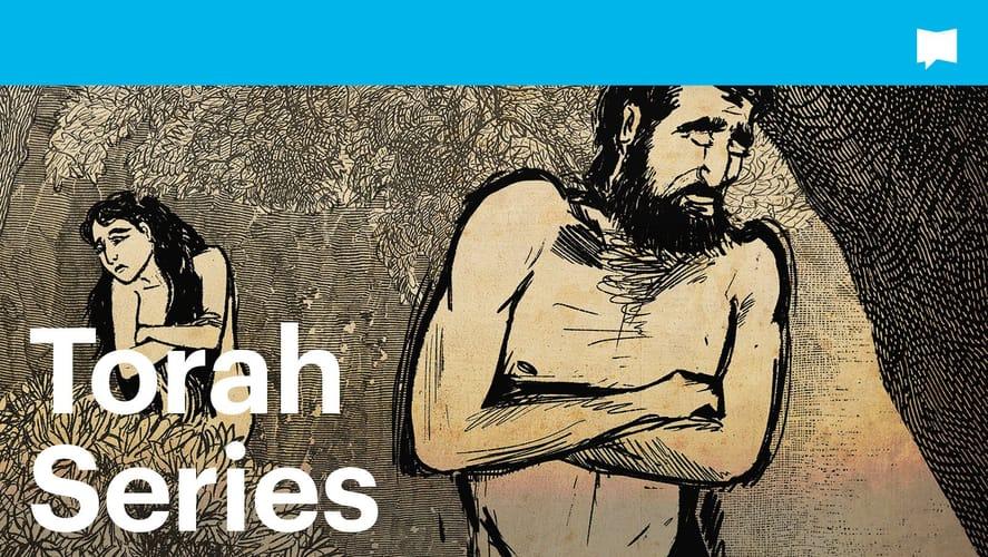 Torah Series